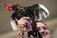 Fussball WM 2006: Frankreich - Sued Korea