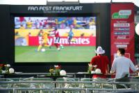 Public Viewing in Frankfurt am Main