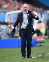 FUSSBALL WM 2014, HALBFINALE: Niederlande - Argentinien