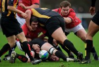 Rugby Laenderspiel Deutschland - Hongkong