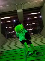 Fussball WM-Qualifikation: Deutschland - Wales