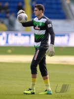 Fussball  1. Bundesliga  13/14: TSG 1899 Hoffenheim - SV Werder Bremen