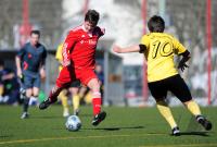 Fussball B - Junioren Bundesliga:  Bayern Muenchen - TuS Ergenzingen
