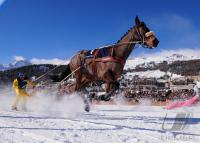 White Turf  St. Moritz 2010