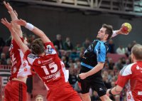 Handball 2. Bundesliga 13/14: TV Neuhausen - EHV Aue