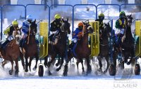 Pferdesport: White Turf  St. Moritz 2022