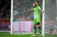 Fussball 1. Bundesliga, Saison 2011/2012: Hoffenheim, Starke