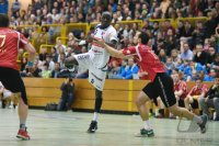 Handball 1. Bundesliga 14/15 Testspiel: HBW Balingen/Weilstetten - Pfadi Winterthur