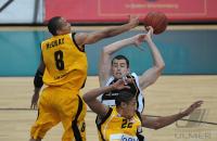 1. Basketball Bundesliga  09/10  Walter Tigers Tuebingen  - ENBW Ludwigsburg