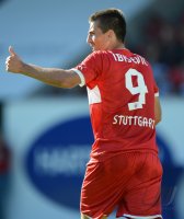 Fussball 1. Bundesliga : Vedad Ibisevic (VfB Stuttgart)