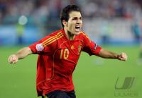 FUSSBALL EURO 2008: Spanien - Italien