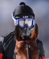 White Turf  St. Moritz 2010