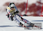 SKI   Weltcup Abfahrt Frauen Michaela Dorfmeister (AUT)