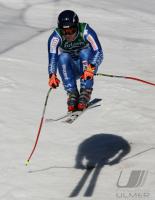 Ski Alpin  Herren Abfahrt Wengen