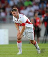 FUSSBALL 1. Bundesliga  VfB Stuttgart: HITZELSPERGER