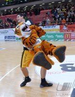 Basketball 1. Bundesliga 13/14:  Walter Tigers Tuebingen - Mitteldeutscher BC