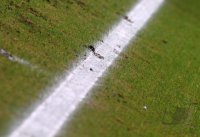 Fussball 1. Bundesliga Saison 21/22: VfB Stuttgart - FC Bayern Muenchen