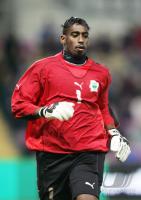 Fussball  International WM 2006, Elfenbeinkueste