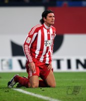 Fussball 1. Bundesliga : Mario Gomez (FC Bayern Muenchen)