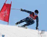 Olympische Spiele 2006 Turin  Abfahrt Herren