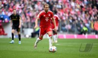 Fussball  1. Bundesliga   Saison 2025/2026     34. Spieltag  FC Bayern Muenchen - 1. FC Koeln
