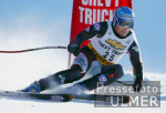 SKI   Weltcup  Abfahrt Herren ; Hannes Trinkl (AUT)