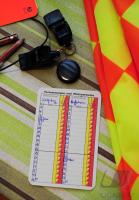 FUSSBALL, 1. BUNDESLIGA, 29. Spieltag: Wolfsburg - Hoffenheim