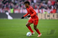 Fussball 1. Bundesliga 24/25: FC Bayern Muenchen - VfL Wolfsburg