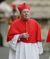 Vatikan; Tod von Papst Johannes Paul II, Kardianl Walter Kasper