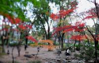 Fussball International  Club WM Park in Tokio