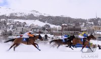 Pferdesport:  White Turf  St. Moritz 2014  Flachrennen