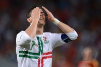 Fussball International Europameisterschaft 2012, Halbfinale: Portugal - Spanien