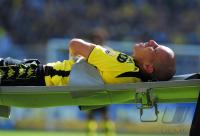 FUSSBALL, 1. BUNDESLIGA, 31. Spieltag: Dortmund - Hoffenheim