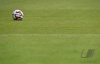 Fussball 1. Bundesliga Saison 14/15: VfB Stuttgart  - TSG 1899 Hoffenheim