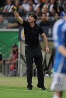 FUSSBALL INTERNATIONAL: Deutschland - Bosnien Herzegowina