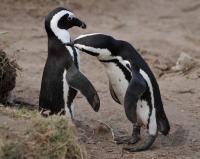 LAND UND LEUTE  FUSSBALL WM 2010