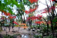 Fussball International  Club WM Park in Tokio