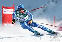 Ski Alpin  Herren Abfahrt Wengen