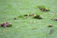 Fussball 1. Bundesliga Saison 18/19: FC Bayern Muenchen - Hertha BSC Berlin