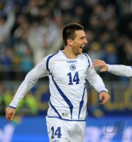 Fussball International  Testspiel:  JUBEL Vedad Ibisevic (Bosnien-Herzegowina)