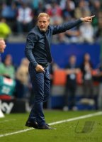 Fussball, 1. Bundesliga Saison 2012/2013: Hamburger SV - VfL Wolfsburg