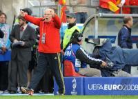 FUSSBALL EURO 2008: Schweden - Spanien