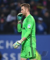 Fussball Bundesliga Saison 16/17: Hamburger SV - Schalke 04