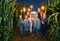 11. Maislabyrinth Neustetten-Wolfenhausen