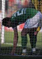 Fussball 1. Bundesliga  Saison 2010/2011  ALMEIDA   (Werder Bremen)