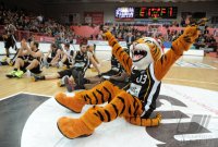 Basketball  1. Bundesliga  11/12  Walter Tigers Tuebingen - LTI Giessen 46ers