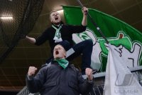 Fussball  1. Bundesliga  13/14: TSG 1899 Hoffenheim - SV Werder Bremen