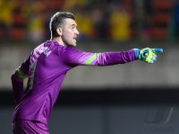 Fussball International Testspiel: Torwart Stipe Pletikosa (Kroatien)