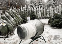 Schmuckbild, Wetterbild: Weihnachtstbaumverkauf in Rottenburg - Weiler