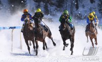 Pferdesport: White Turf  St. Moritz 2022